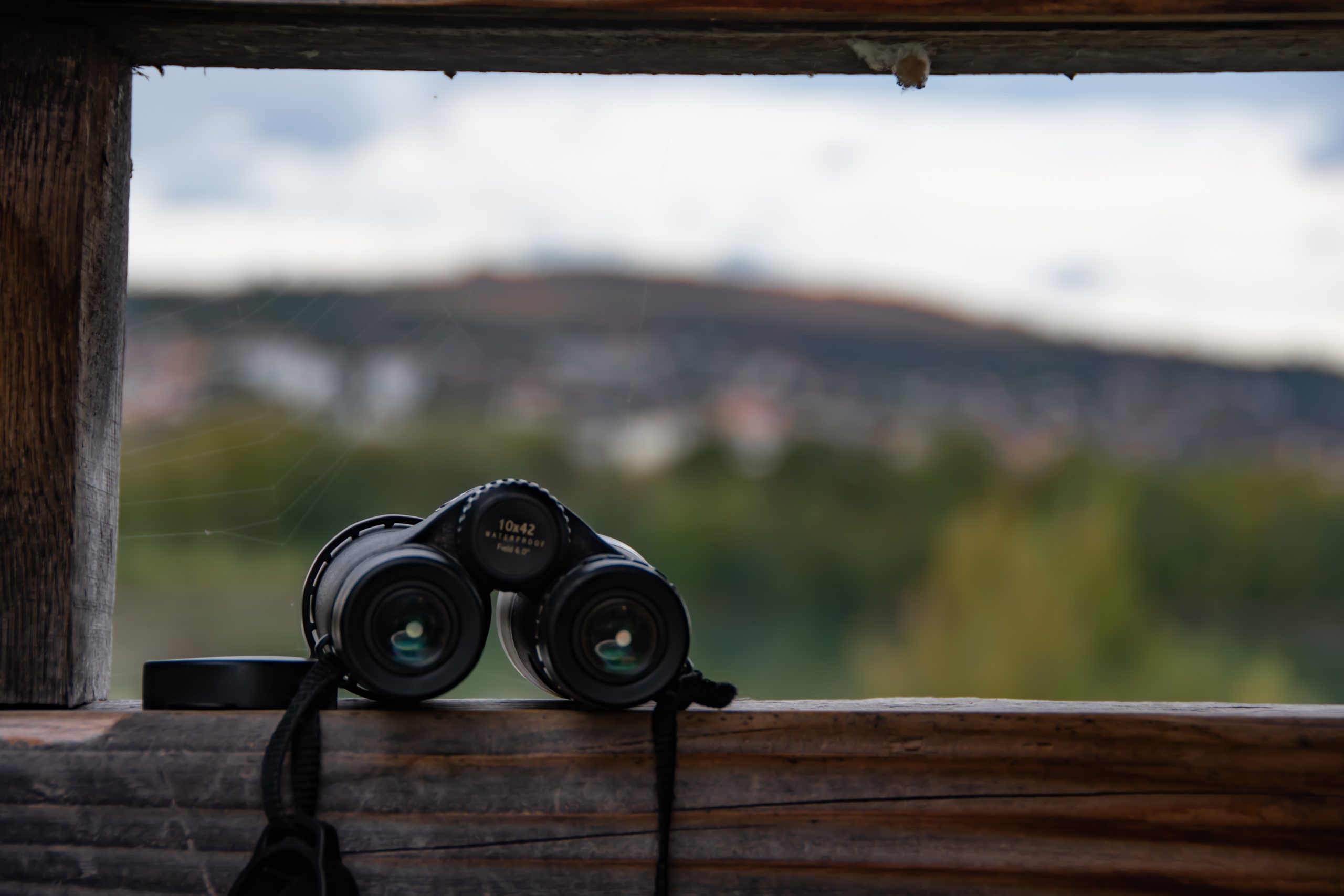 Compte-rendu Sortie Ornithologie – 15/10/2022