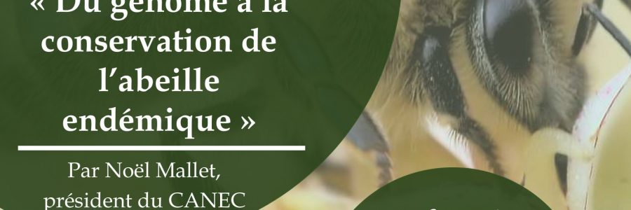 Conférence « Du génôme à la conservation de l’abeille endémique » par Noël Mallet, président du CANEC – 18h30, Amphi recherche Cézeaux – 22/02/2024