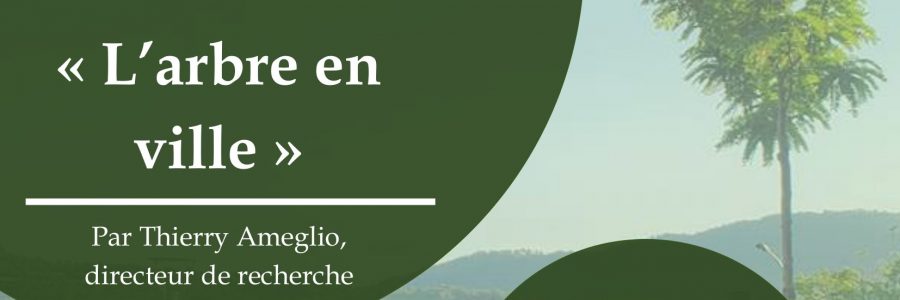 Conférence « L’arbre en ville » par Thierry Ameglio, Directeur de recherche à l’INRAe – 18h30, Amphi recherche Cézeaux – 14/03/2024
