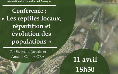 Annonce Conférence « Les reptiles locaux » par Stéphane Jardrin et Anaëlle Cellier – 11/04/2024