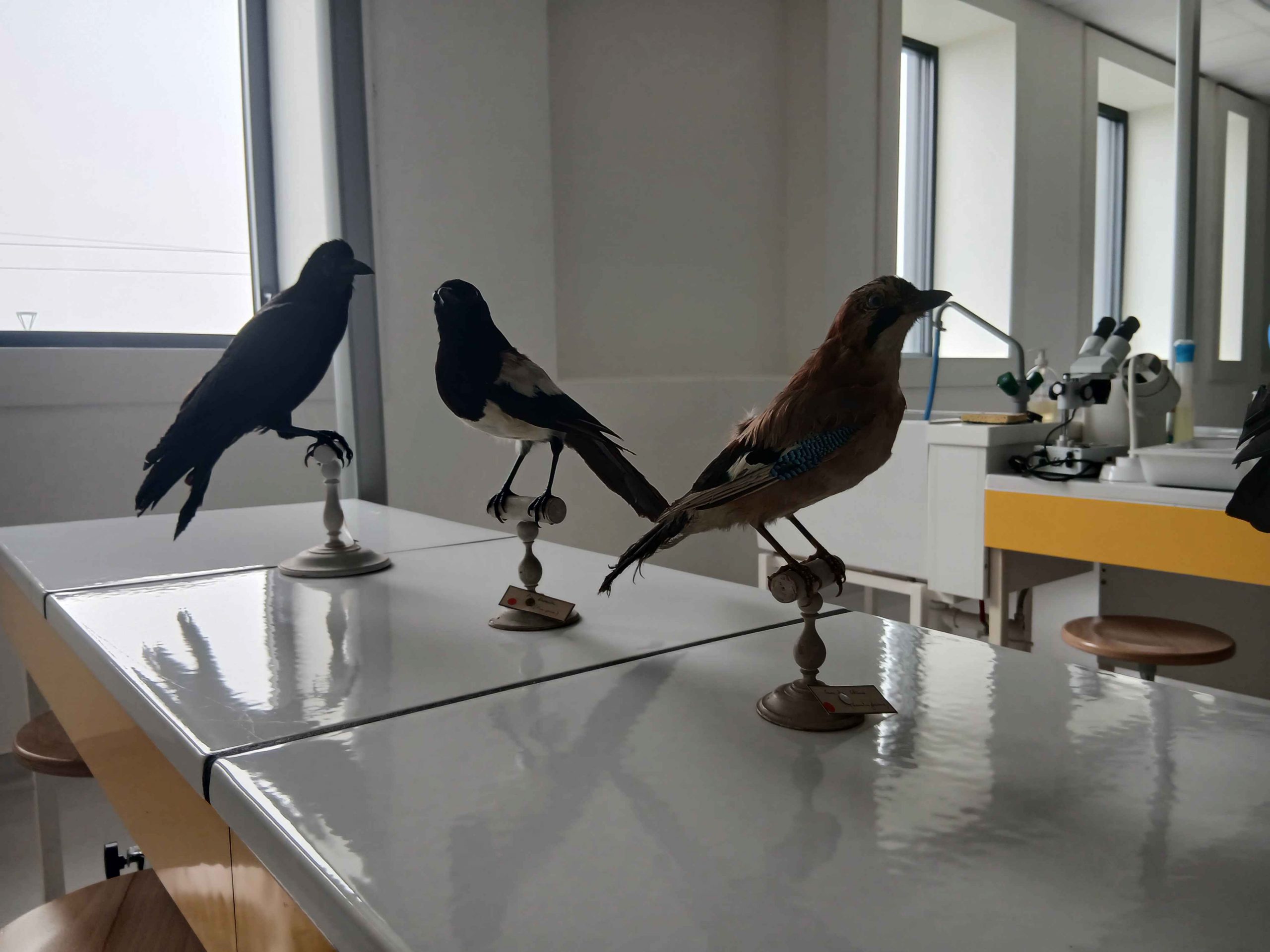 Journée Portes Ouvertes de l&rsquo;UCA, 28-02-26