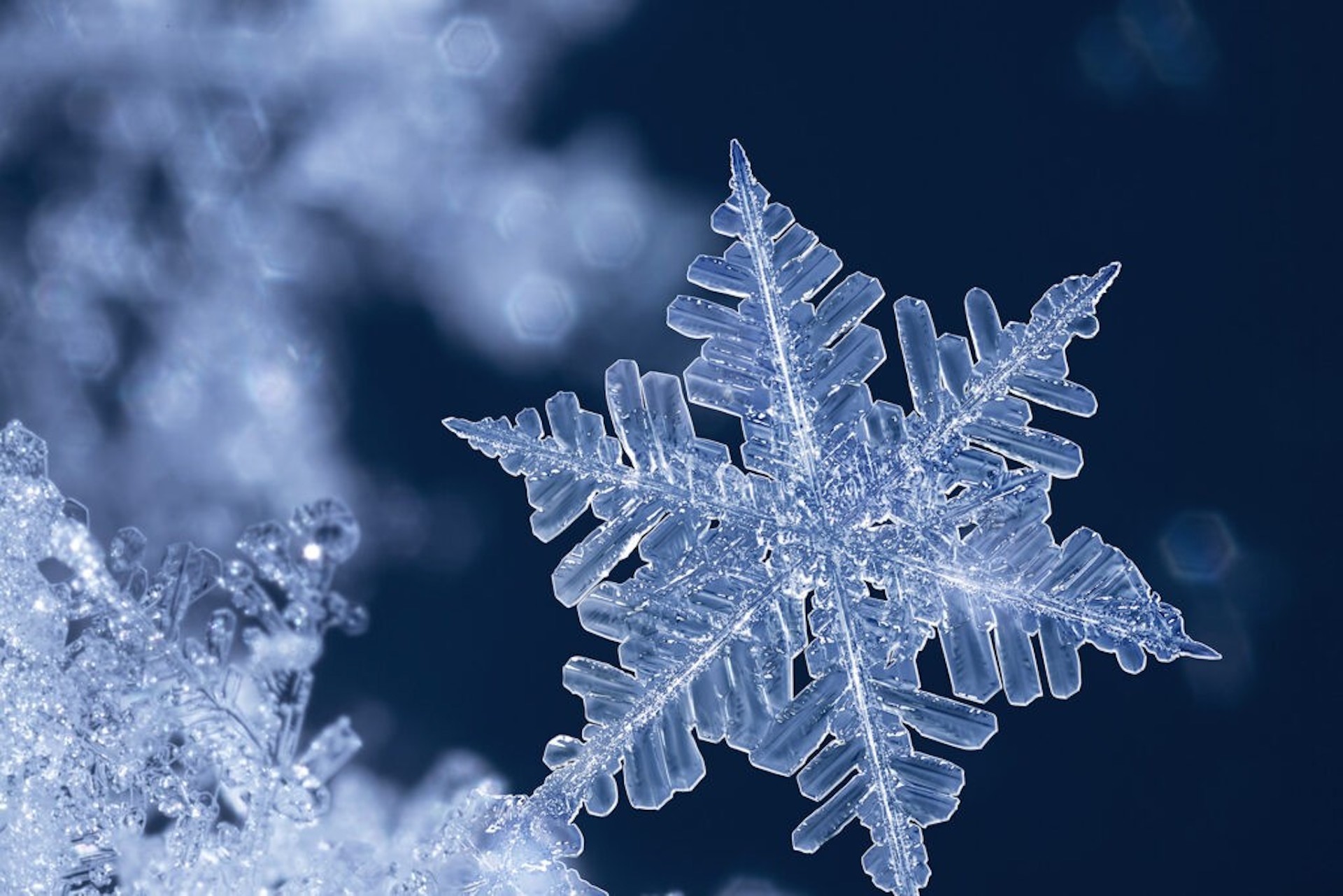 Concours photo naturaliste de l’ADNA 2e édition