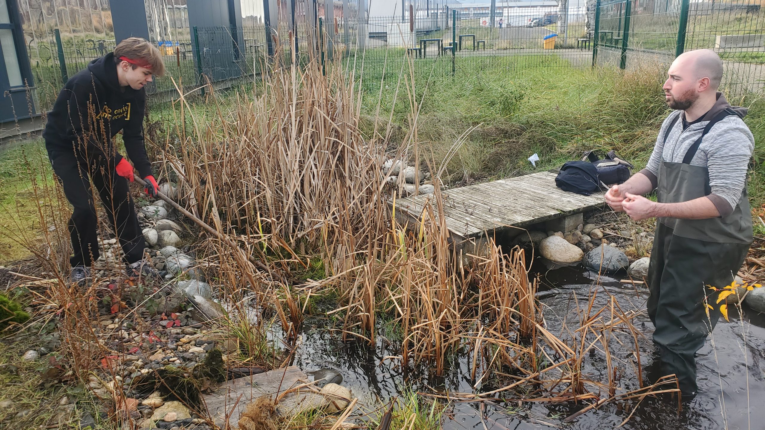 Nettoyage de la mare de l’Alchemille – 11 décembre 2025