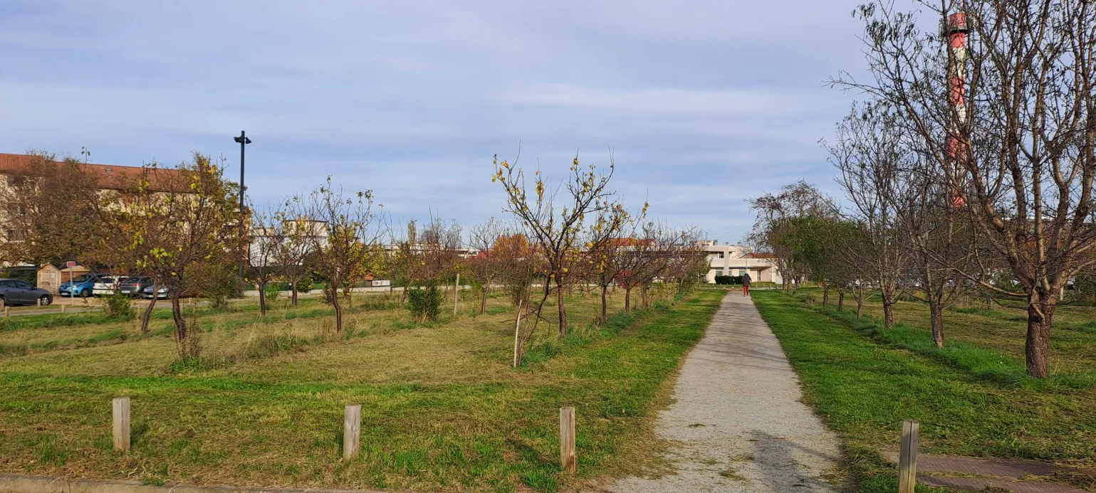 Prélèvement au verger, 03-11-25