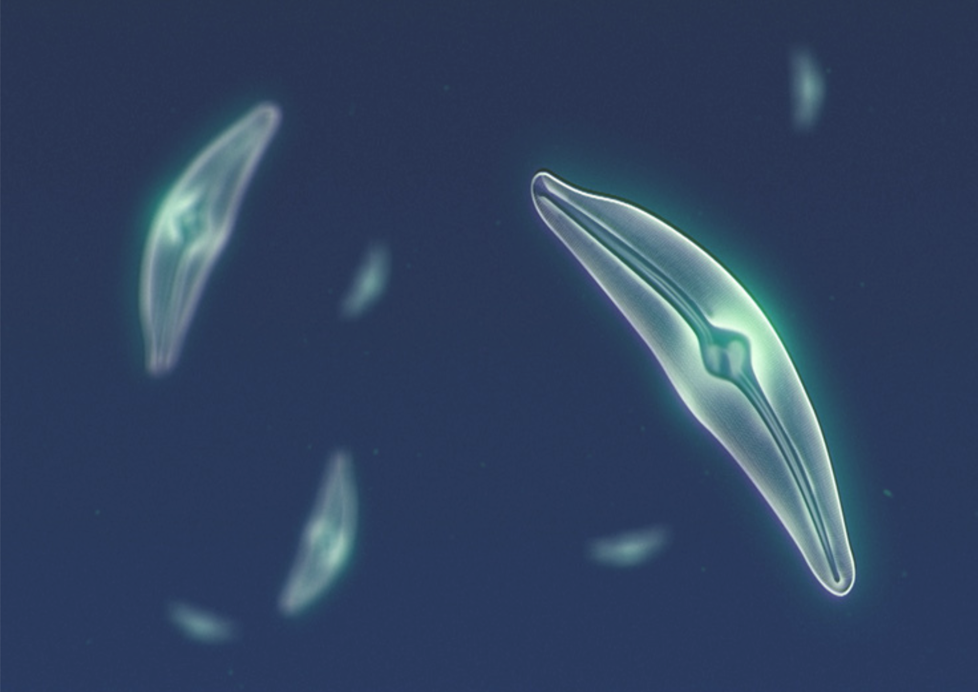 2ème conférence de 2026 – 03 mars 2026