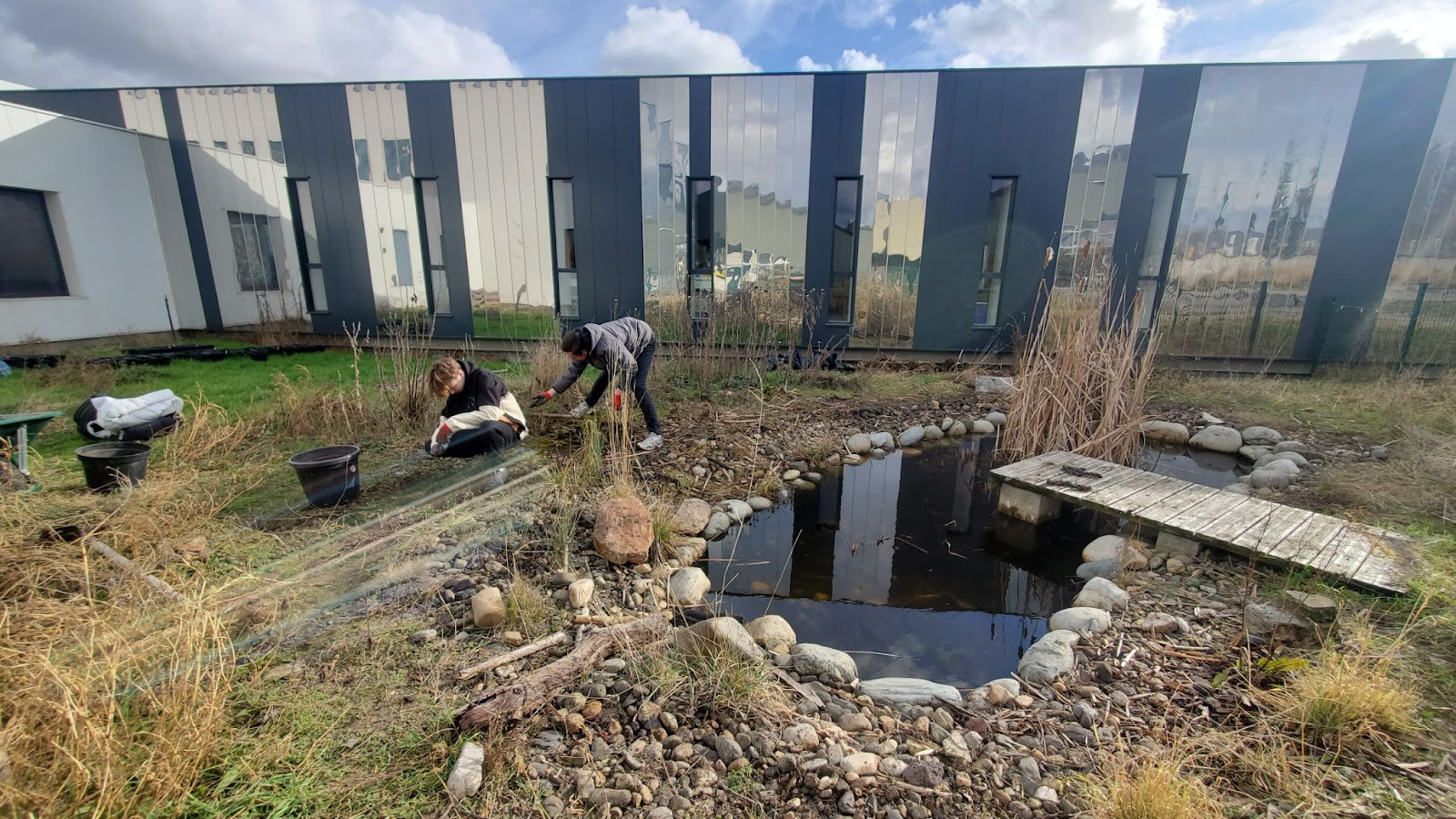 Aménagements de la mare de l’Alchemille – 28 janvier 2026