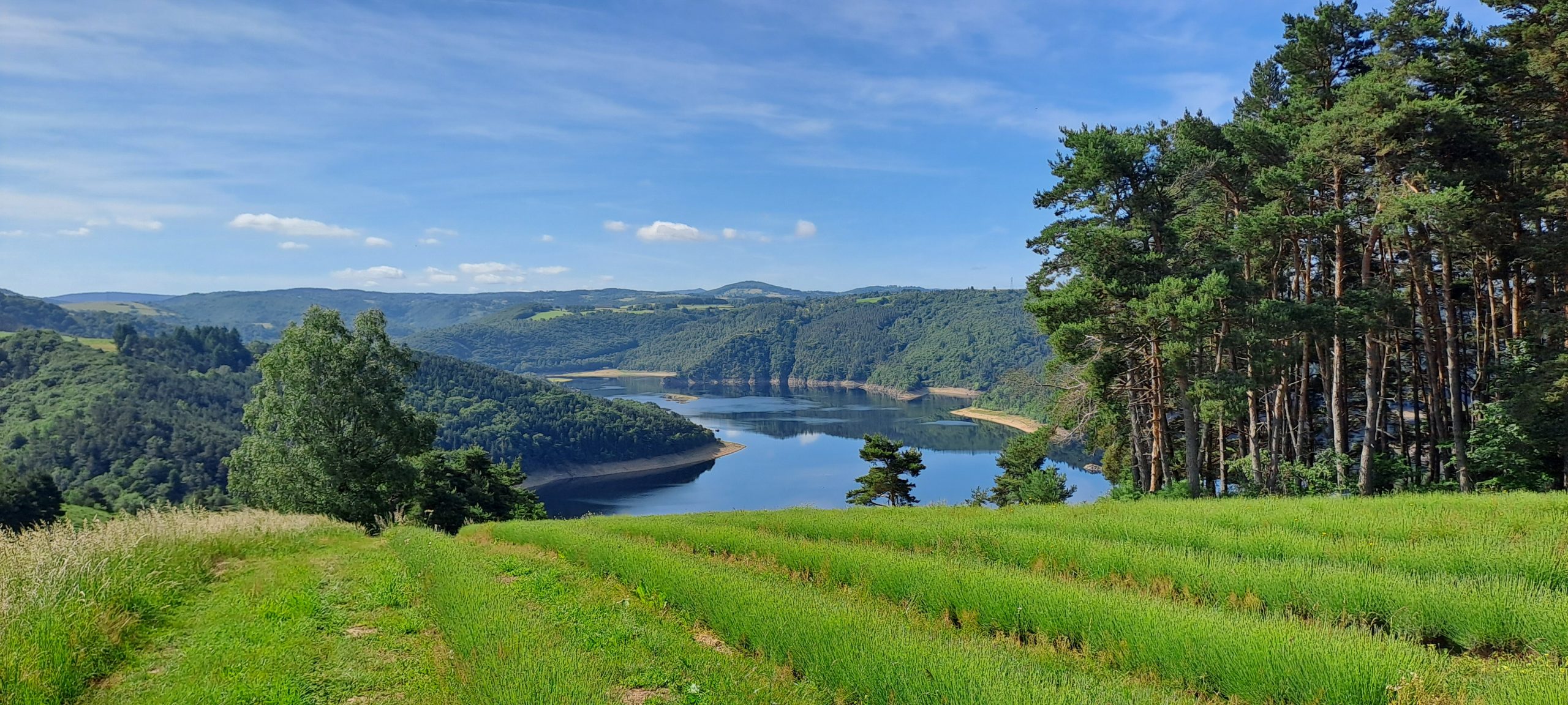 CR – Week-end naturaliste dans le Cantal 2026