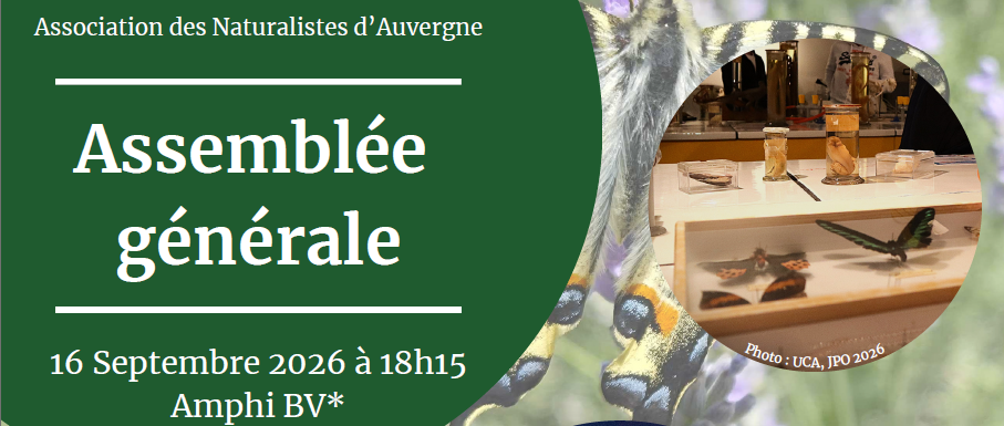 Assemblée générale – 16 septembre 2026 – 18h15