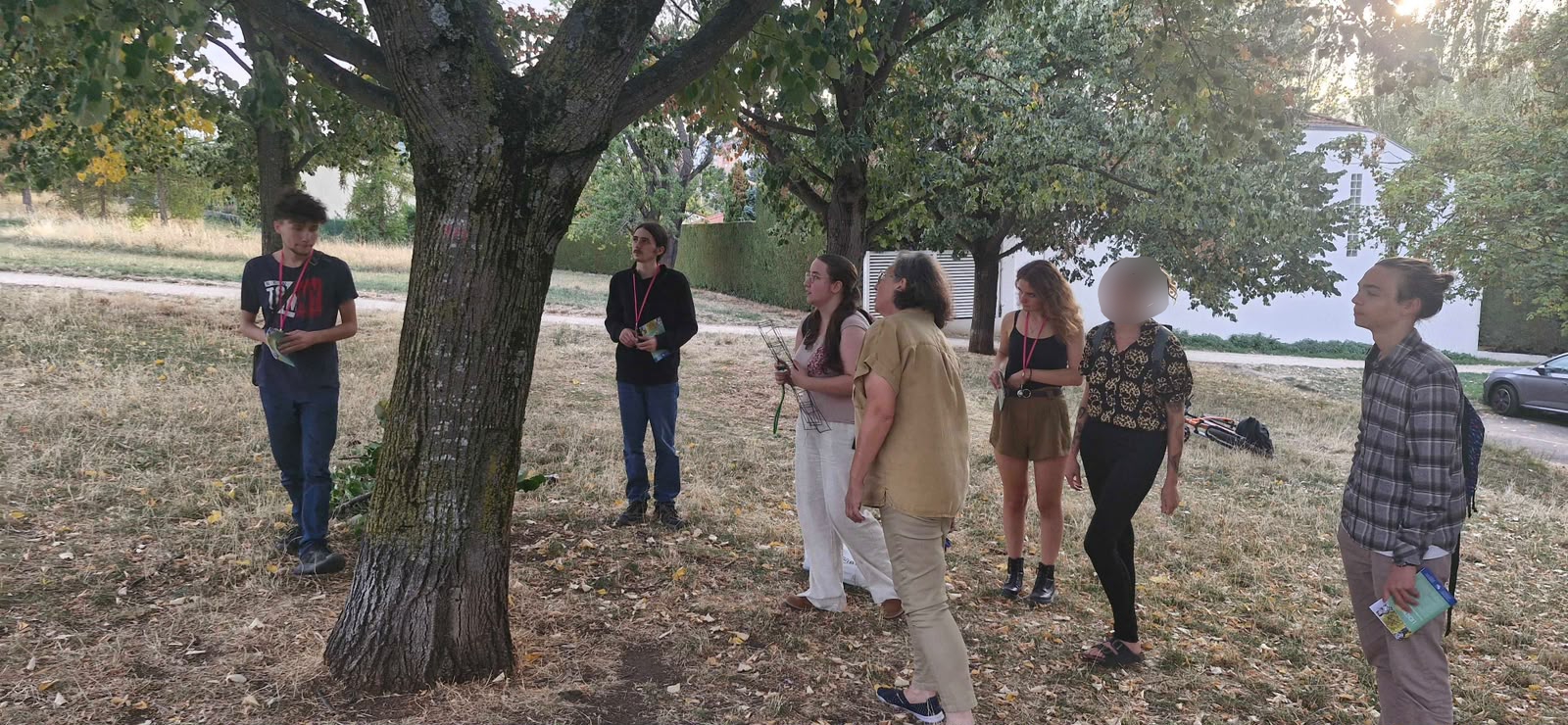 Relevé Lichens GO – 28 septembre 2026 – Compte rendu