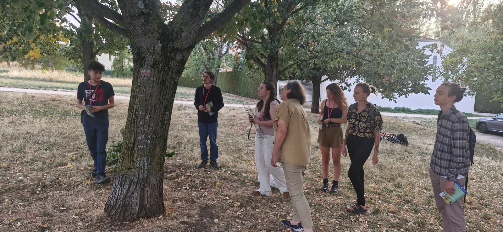 Relevé Lichens GO – 28 septembre 2026 – Compte rendu